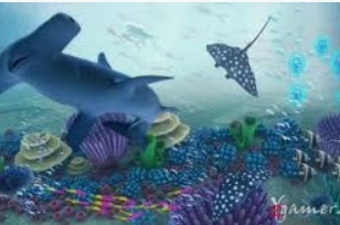 掌中彩welcome电脑免费版